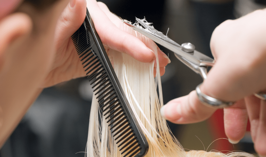 WOMEN'S HAIRCUTS